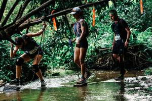 BIB: 
                            <button type="button" onclick="openModal(25270144)" class="btn btn-primary btn-sm float-right btn-popup" data-toggle="modal" data-target=".modal-high-quality">
                        <i class="fas fa-shopping-cart"></i> Add to Cart
                    </button>
                                            <button type="button" onclick="isThisMe(25270144, true)" class="btn btn-success btn-sm float-right btn-popup btn-isme hidden" data-toggle="tooltip" data-placement="bottom" title="นี่คือรูปของคุณใช่ไหม คลิกที่นี่เพื่อเอาเข้าอัลบั้ม">
                        <i class="fas fa-plus"></i> Add to album
                    </button>
                    <button type="button" onclick="isThisMe(25270144, false)" class="btn btn-warning btn-sm float-right btn-popup btn-isnotme hidden">
                        <i class="fas fa-ban"></i> Remove from album
                    </button>